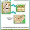 Texas-6 Texas Roll & Write – Print and Play Board Game PDF